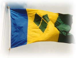 images/forum/2012/svg_flag.jpg